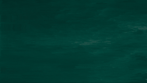 kisiintegration-ezgif.com-optimize-2